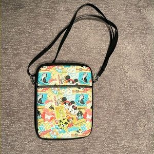 Disneyland iPad case